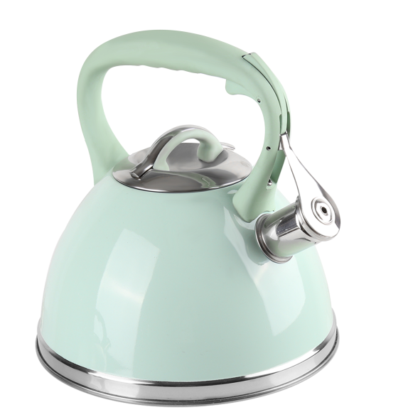 Whistling Kettle Usage And Cleaning Tips-Pococina