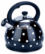 Customized Color Painted Stainless Steel Whistling Kettle