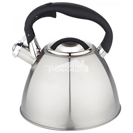 Whistle Kettle: Working Principle, Uses and Benefits